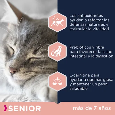 Los antioxidantes refuerzan defensas, prebióticos y fibra favorecen la digestión, L-carnitina ayuda a mantener peso saludable. SENIOR más de 7 años.