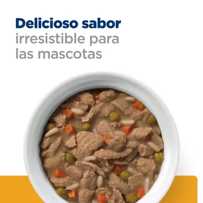 Texto: Delicioso sabor irresistible para las mascotas. Plato blanco con comida húmeda, trozos de carne, guisantes y zanahorias visibles.