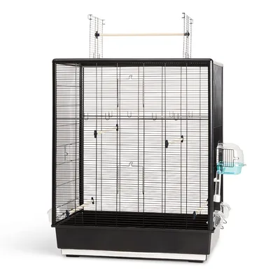 Vogelkooi met zwart metalen traliewerk, kunststof bodem, houten zitstokken en externe voederdispenser.
