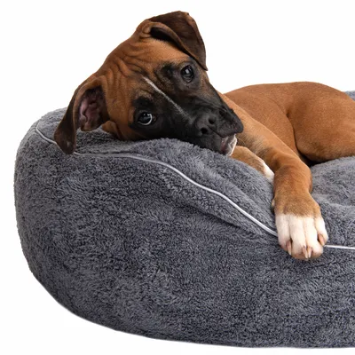 Modern Living Hundeseng Atlanta