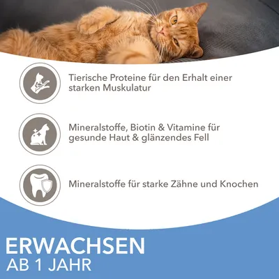 Texte en allemand : protéines animales pour la musculature, minéraux, biotine et vitamines pour peau et pelage, minéraux pour dents et os solides. ERWACHSEN ab 1 Jahr.