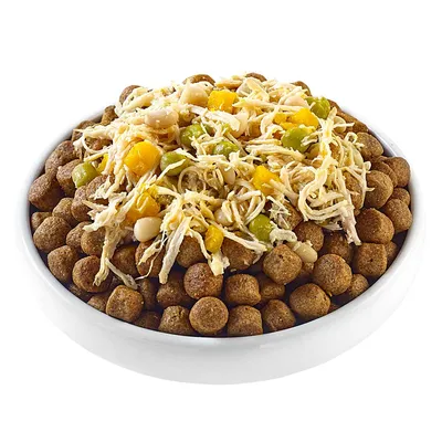 Bol blanc rempli de croquettes pour chien, garnies de morceaux de légumes jaunes et verts ainsi que d’émincés de viande claire visibles sur le dessus.
