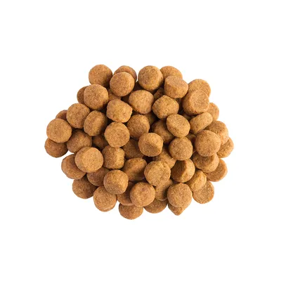 Pro Plan JM Joint Mobility