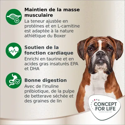 Maintien de la masse musculaire, soutien de la fonction cardiaque, bonne digestion. Concept for Life. Adapté au Boxer, protéines, L-carnitine, taurine, EPA, DHA, inuline, pulpe de betterave, graines de lin.
