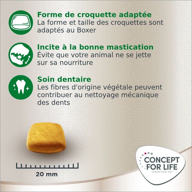 Concept for Life Boxer Adult pour chien