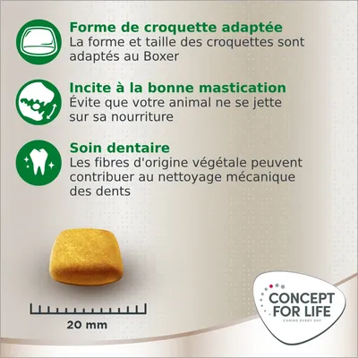 Tableau Concept for Life : forme de croquette adaptée au Boxer, incite à la mastication, soin dentaire, croquette 20 mm. Texte en français visible sur l’image.