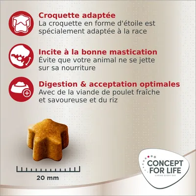 Croquette en forme d’étoile 20 mm, Concept for Life. Texte : croquette adaptée à la race, incite à la bonne mastication, digestion et acceptation optimales avec poulet frais et riz.