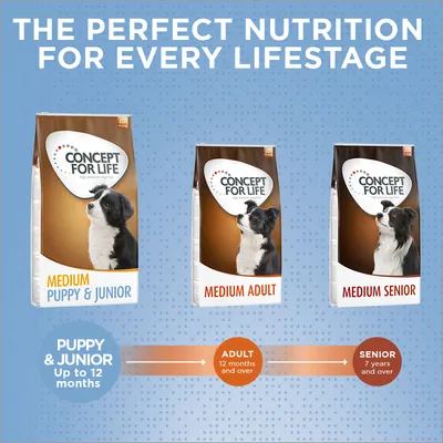 Tre confezioni Concept for Life: Medium Puppy & Junior, Medium Adult, Medium Senior. Testo visibile: Puppy & Junior fino a 12 mesi, Adult da 12 mesi, Senior da 7 anni.