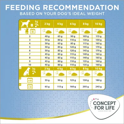 Tabella consigli alimentari per cani Concept for Life: dosi giornaliere da 40 a 170 g per peso da 2 a 10 kg, suddivise per età e settimane. Marchio Concept for Life visibile.