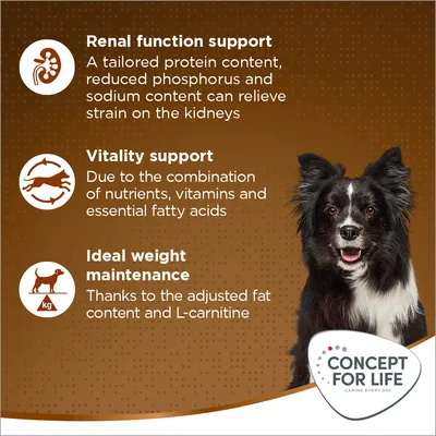 Testo in inglese: Renal function support, Vitality support, Ideal weight maintenance. Marchio Concept for Life. Immagine di un cane bianco e nero. Testo in inglese: Renal function support, Vitality support, Ideal weight maintenance. Marchio Concept for Life. Immagine di un cane bianco e nero.