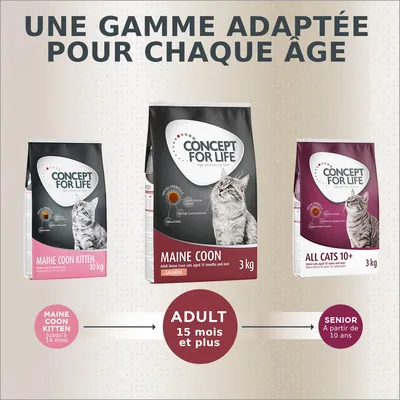 Trois sacs Concept for Life : Maine Coon Kitten jusqu’à 14 mois, Maine Coon Adult 15 mois et plus, All Cats 10+ Senior à partir de 10 ans. Texte visible : gamme adaptée pour chaque âge.