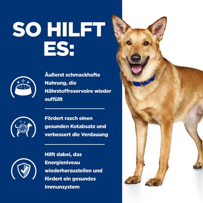 So hilft es: Schmackhafte Nahrung füllt Nährstoffreserven auf, fördert gesunden Kotabsatz und Verdauung, stellt Energieniveau wieder her und stärkt Immunsystem.