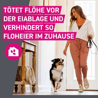 Frontline® TRI-ACT Hunde M (10 - 20 kg)