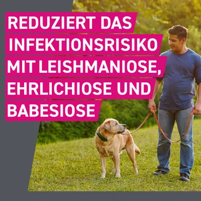 Frontline® TRI-ACT Hunde L (20 - 40 kg)