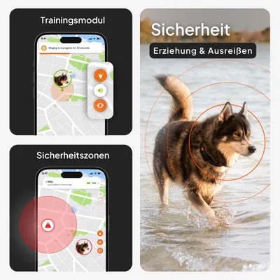 Trainingsmodul und Sicherheitszonen auf Smartphone-Kartenansicht, Text: Sicherheit, Erziehung & Ausreißen. Hund mit Halsband im Wasser, orange Markierungskreise.