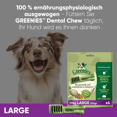 Greenies Dental Chew Large, 170g für Hunde ab 23kg. Hilft Plaque und Zahnsteinbildung zu reduzieren. Hergestellt mit natürlichen Zutaten. Packung enthält 4 Stück.
