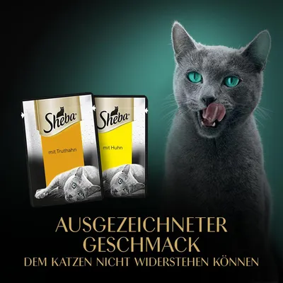 Sheba Katzenfutter mit Truthahn und Huhn. Ausgezeichneter Geschmack, dem Katzen nicht widerstehen können.