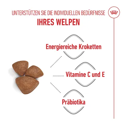 Royal Canin Mini Starter Mother & Babydog