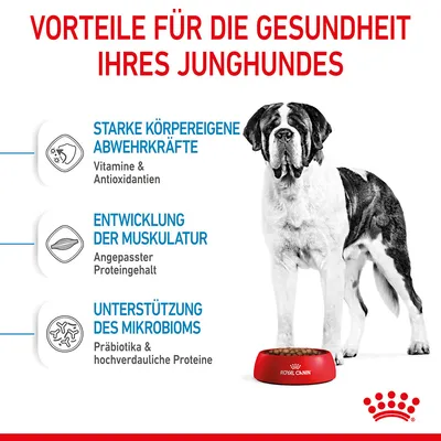 Vorteile für die Gesundheit Ihres Junghundes: Starke Abwehrkräfte mit Vitaminen & Antioxidantien, Muskelentwicklung mit angepasstem Proteingehalt, Unterstützung des Mikrobioms mit Präbiotika.