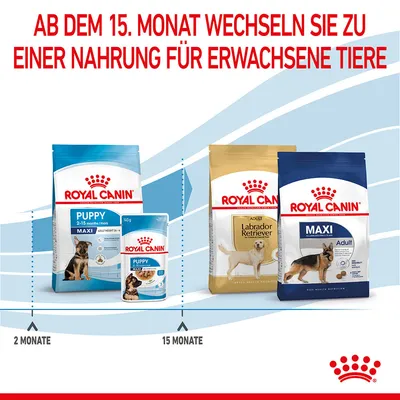 Royal Canin Примечание: с 15-го месяца переходите с Puppy Maxi на Adult Maxi или Labrador Retriever корм для взрослых животных.