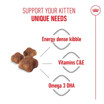 Cat food kibbles with the following features: Energy dense kibble, Vitamins C&E, Omega 3 DHA. Text: Support your kitten's unique needs.