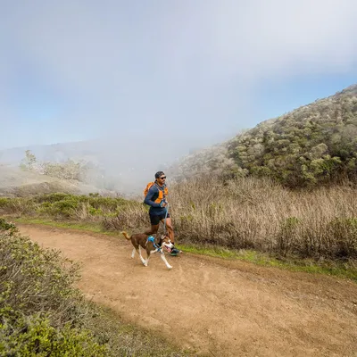 Henkilö lenkkeilee koiran kanssa hihnassa luonnonpolulla. Koiralla on valjaat, henkilöllä oranssi reppu.