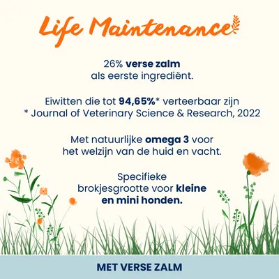Almo Nature Adult Zalm & Rijst  Small Hondenvoer