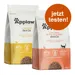 2 x 400 g Applaws in Gemengd Probeerpakket Kattenvoer