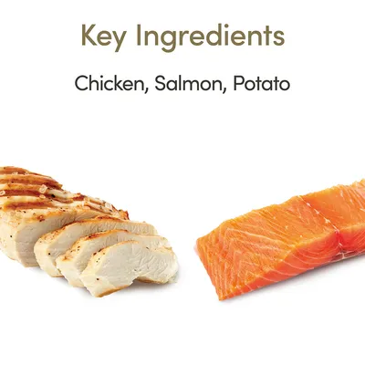 Belangrijkste ingrediënten: Chicken, Salmon, Potato. Afbeelding toont stukjes kipfilet en zalmfilet. Tekst in het Engels.