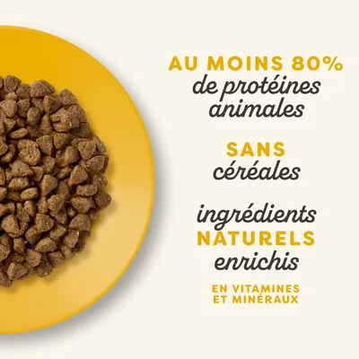 Applaws pour chaton