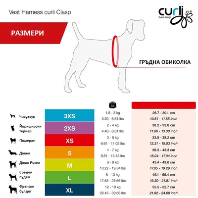 Таблица с размери за нагръдник curli: 3XS до XL според тегло и гръдна обиколка на кучето. Примери: чихуахуа 3XS, дакел S, френски булдог XL. Видими са мерки в см и кг.
