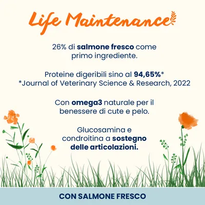 Life Maintenance: 26% salmone fresco come ingrediente principale, fino al 94,65% di proteine altamente digeribili, con Omega 3 per pelle e pelo, glucosammina e condroitina a sostegno delle articolazioni. Life Maintenance: 26% salmone fresco come ingrediente principale, fino al 94,65% di proteine altamente digeribili, con Omega 3 per pelle e pelo, glucosammina e condroitina a sostegno delle articolazioni.