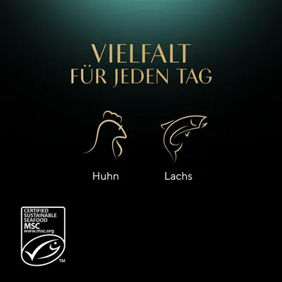 Texte en allemand : 'VIELFALT FÜR JEDEN TAG'. Illustrations et textes : 'Huhn', 'Lachs'. Label MSC Certified Sustainable Seafood www.msc.org en anglais.