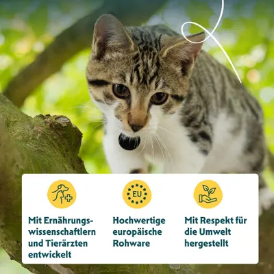 Mit Ernährungswissenschaftlern und Tierärzten entwickelt. Hochwertige europäische Rohware. Mit Respekt für die Umwelt hergestellt.