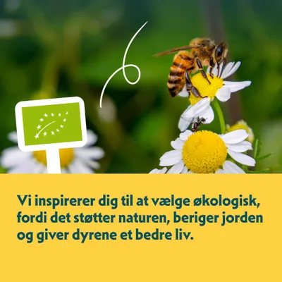 Øko-mærke med tekst: Vi inspirerer dig til at vælge økologisk, fordi det støtter naturen, beriger jorden og giver dyrene et bedre liv. Øko-mærke med tekst: Vi inspirerer dig til at vælge økologisk, fordi det støtter naturen, beriger jorden og giver dyrene et bedre liv.