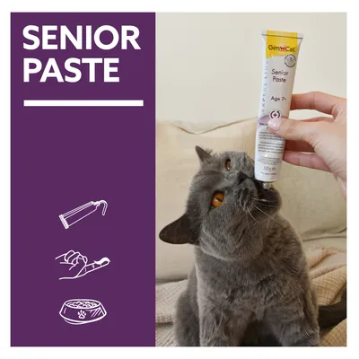 GimCat Senior Paste Age 7+, tube de 50 g pour chats âgés, présenté avec un chat gris. Texte visible : SENIOR PASTE. Illustrations d’un tube, d’une main et d’une gamelle.
