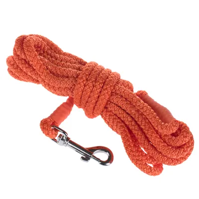 Heim Long Dog Training Lead - Orange
