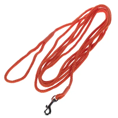 Guinzaglio rosso per cani in materiale intrecciato con moschettone in metallo.