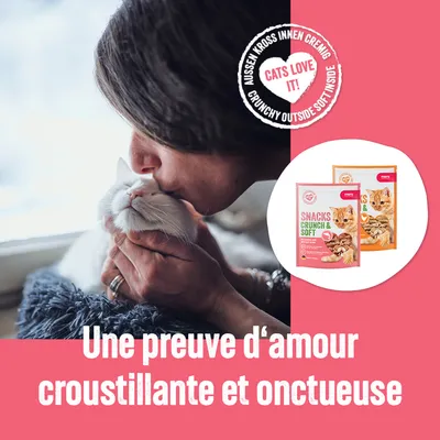 Deux sachets de friandises pour chats, texte visible : Snacks Crunch & Soft. Badge en anglais : Cats love it! Slogan : Une preuve d'amour croustillante et onctueuse.