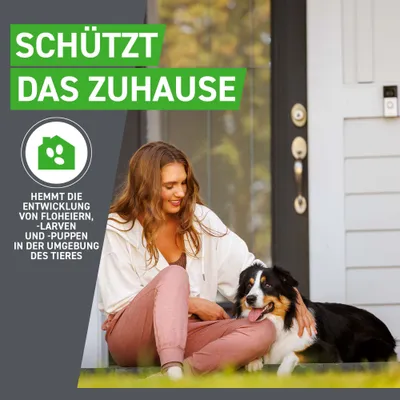 Frontline® Combo Spot-on Hund L (20 - 40 kg)