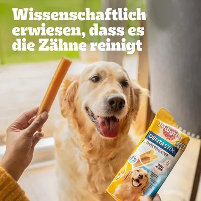 Oseba drži Pedigree Dentastix Daily Oral Care pakiranje in priboljšek za pse; zgoraj besedilo v nemščini: 'Wissenschaftlich erwiesen, dass es die Zähne reinigt'.