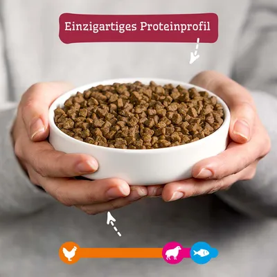 Schale mit Trockenfutter, Text: Einzigartiges Proteinprofil. Symbole für Huhn, Lamm und Fisch unten abgebildet. Schale mit Trockenfutter, Text: Einzigartiges Proteinprofil. Symbole für Huhn, Lamm und Fisch unten abgebildet.