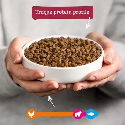 Castron cu hrană uscată, Text: Profil unic de proteine. Simboluri pentru pui, miel și pește ilustrate mai jos. Castron cu hrană uscată, Text: Profil unic de proteine. Simboluri pentru pui, miel și pește ilustrate mai jos.