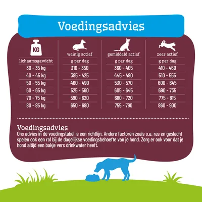 Voedingsschema voor honden: aanbevolen dagelijkse hoeveelheid in gram naar lichaamsgewicht en activiteitsniveau. Extra opmerking over het belang van drinkwater. Voedingsschema voor honden: aanbevolen dagelijkse hoeveelheid in gram naar lichaamsgewicht en activiteitsniveau. Extra opmerking over het belang van drinkwater.