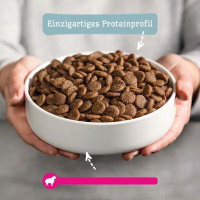 Schale mit Trockenfutter, Text: Einzigartiges Proteinprofil, Symbol eines Schafs unten im Bild. Schale mit Trockenfutter, Text: Einzigartiges Proteinprofil, Symbol eines Schafs unten im Bild.