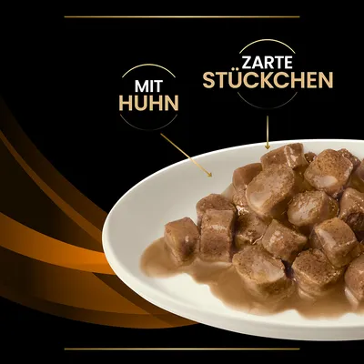 Assiette de bouchées en sauce avec texte allemand visible : 'MIT HUHN' et 'ZARTE STÜCKCHEN'.