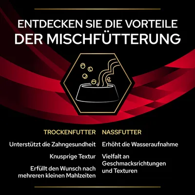 Entdecken Sie die Vorteile der Mischfütterung: Trockenfutter unterstützt Zahngesundheit, knusprige Textur, kleine Mahlzeiten. Nassfutter erhöht Wasseraufnahme, Vielfalt an Geschmacksrichtungen.
