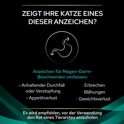 Zeigt Ihre Katze eines dieser Anzeichen? Symptome für Magen-Darm-Beschwerden: Durchfall, Verstopfung, Appetitverlust, Erbrechen, Blähungen, Gewichtsverlust. Tierarzt konsultieren empfohlen.