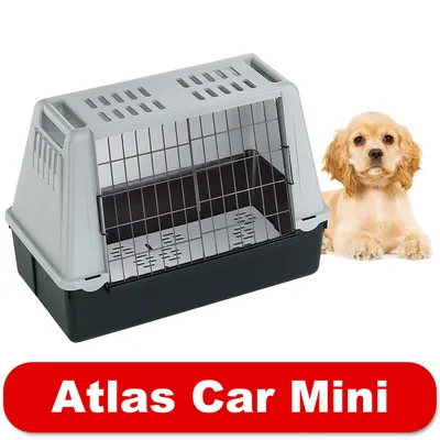 Transportbox Atlas Car Mini mit grauem Oberteil, schwarzem Unterteil und Gittertür. Roter Schriftzug 'Atlas Car Mini' unten im Bild.