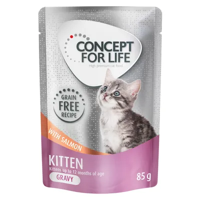 Concept for Life Kitten, recette sans céréales, au saumon, pour chatons jusqu’à 12 mois, sauce gravy, sachet de 85 g. Texte en anglais sur l’emballage.
